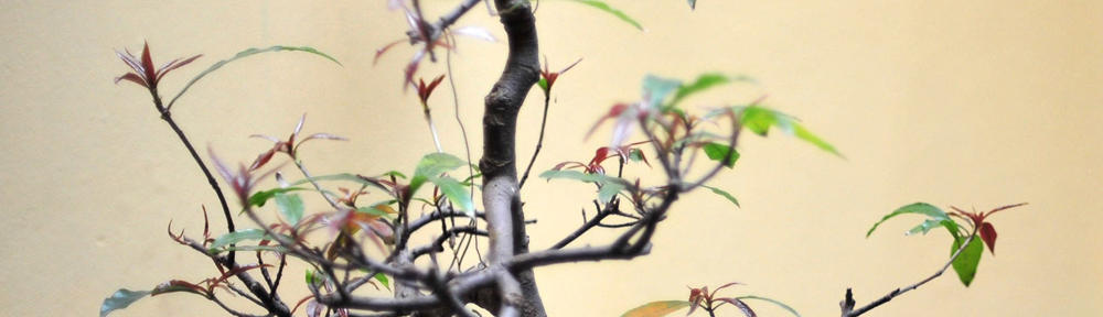 Complejo Kalem – Cabañas – Resort – Villa Ventana